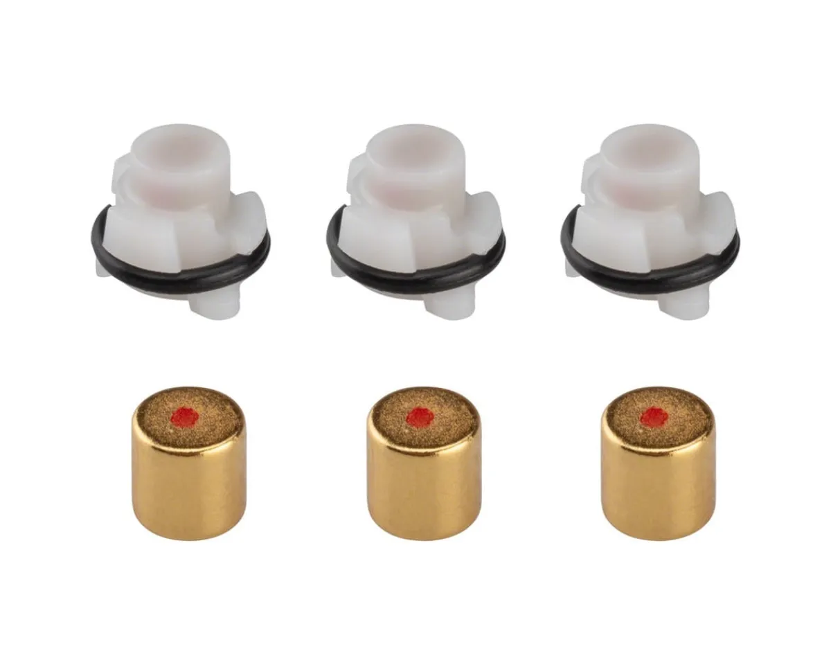 Zipp Wheels & Parts|Magnet Set for Cognition NSW Clutch (Inner & Outer) (Rear Wheel)