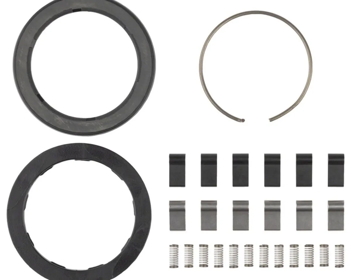 Zipp Wheels & Parts|Spring & Pawl Set (ZM2 )