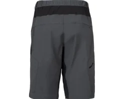 ZOIC Shorts & Bibs|Ether 9" Short w/ Liner (Shadow) (S)